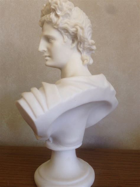 Apollo Belvedere Classical Bust Elegant White Marble Statue