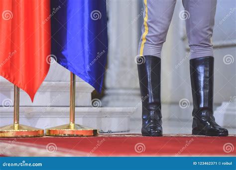 Guard of Honor during a Military Ceremony Stock Image - Image of back, rifle: 123462371