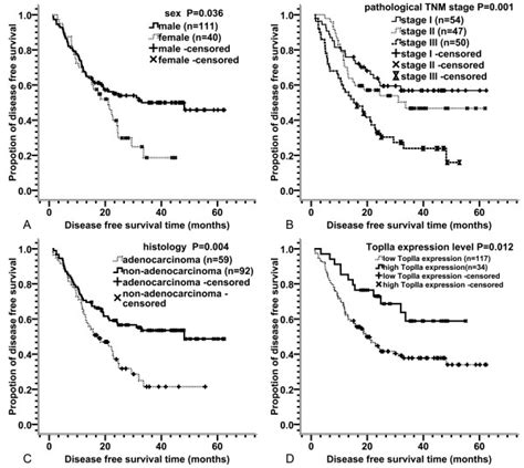 Dfs Curves According To Different Clinical And Pathological Download Scientific Diagram