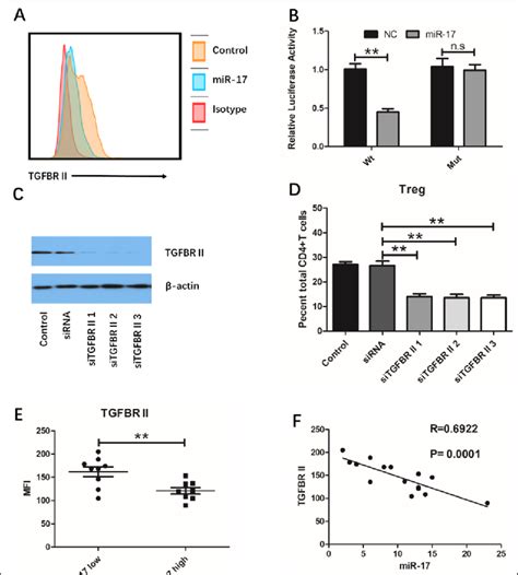 Mir Inhibits Treg Differentiation Through Targeting Tgfbr Ii A Cd