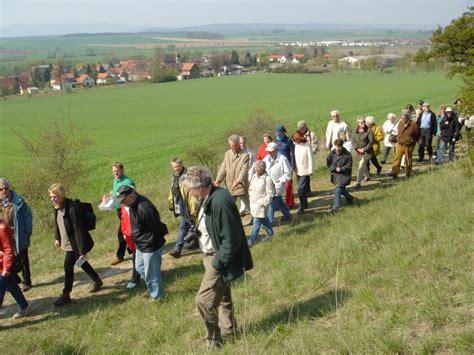 Erlebniswanderungen Geschichte Pflanzen Und Geologie Im