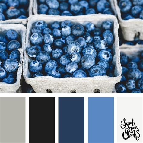 Winter Color Palettes Inspiring Color Schemes By Sarah Renae Clark