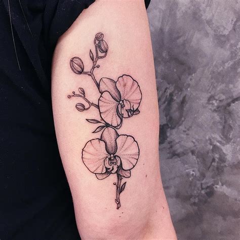 Álbumes 104 Foto Tatuajes De Orquideas En El Brazo El último