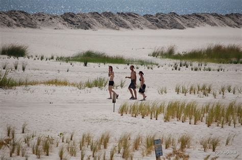 "Dauphin Island Beach" by zpawpaw | Redbubble