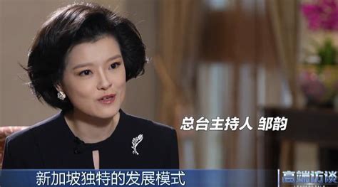 央视主持邹韵采访李显龙惊艳网友 她被赞誉为“小董卿”中华网