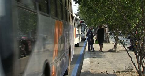 G1 Novas Faixas Exclusivas Para ônibus Começam A Funcionar Em