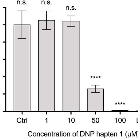 Evaluation Of The Cytotoxicity Of The Hapten On Ls T Cells The