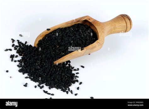 Egyptian Black Cumin Seed Black Cumin Nigella Sativa Stock Photo Alamy