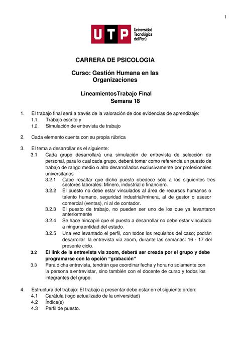 Indicaciones Y Rubricas TF 2023 459716633 CARRERA DE PSICOLOGIA