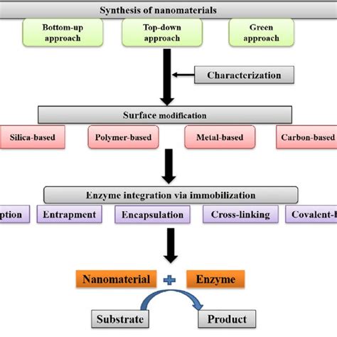 Road Map Of Design And Development Of Nanomaterial Immobilized Enzymes