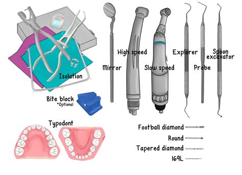 Stainless Steel Crown Preparation - My Dental Key