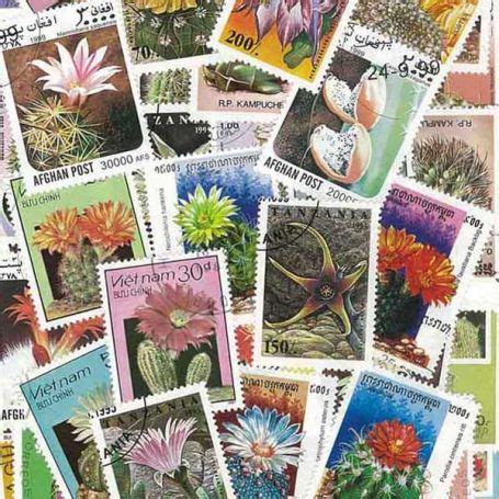 Timbres Pour Collectionneur Cactus Oblit R S Timbres Flore