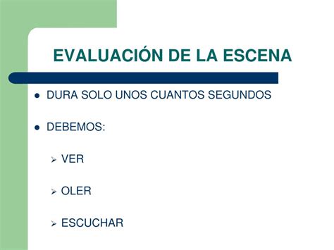 PPT EVALUACIÓN DE LA ESCENA PowerPoint Presentation free download