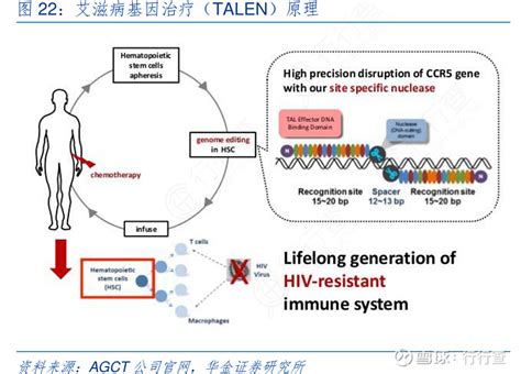 Crispr靶点治疗，能否引领艾滋病新局面？ 在一项发表于《新英格兰医学杂志》的最新研究中，北京大学等机构组成的研究团队报道了利用crispr来治疗艾滋病的案例，这是 雪球