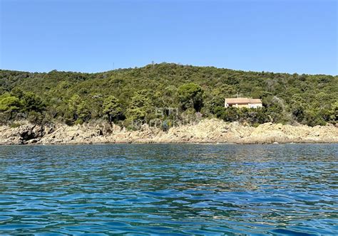 Villa Porto Vecchio Propri T Pieds Dans L Eau Vendre En Corse Du