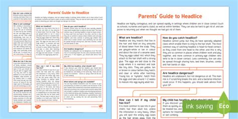 Head Lice Information For Parents Guide Twinkl Parents