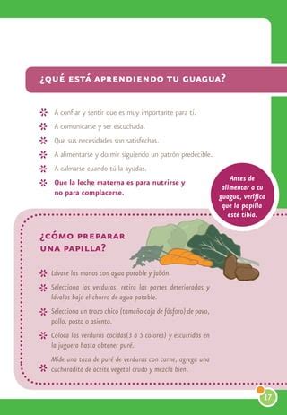 Cartilla Alimentacion Saludable Pdf