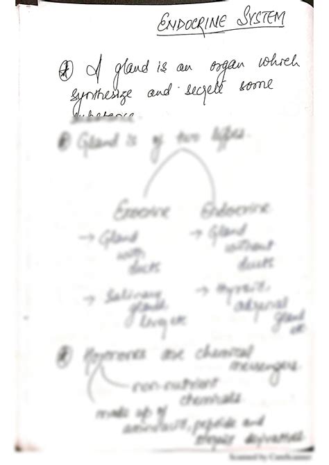 Solution Physiology Studypool