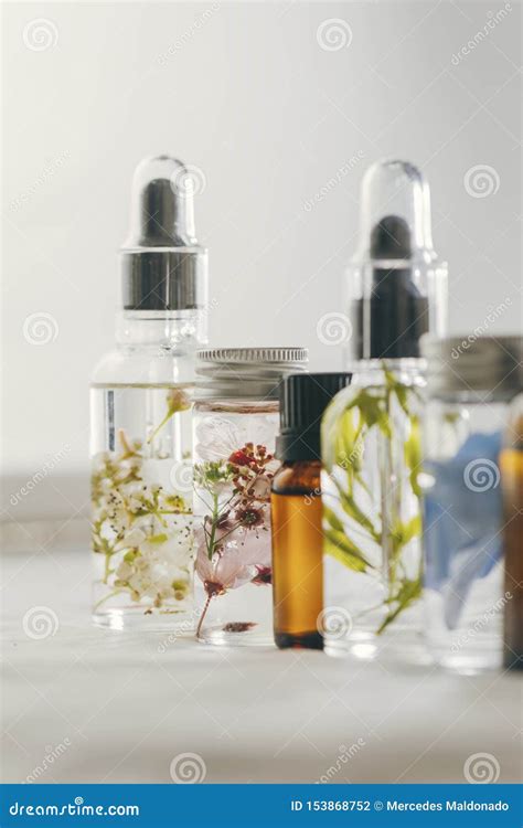 Transparent Bottles Of Essential Oil With Fresh Herbs Stock Photo