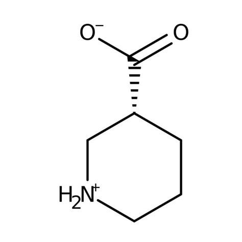 Piperidin 3 carbonsäure 98 Thermo Scientific Chemicals Fisher