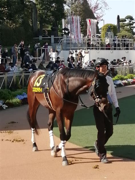 テイエムトッキュウは終点まで止まらない Its Horse Racing I Was There