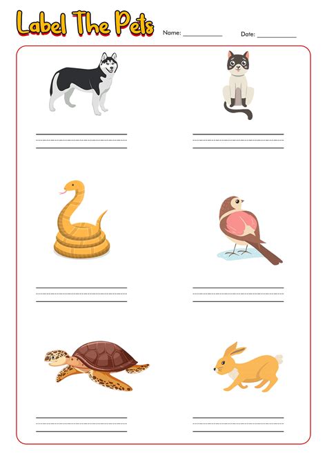 14 Pet Animal Worksheets Preschool - Free PDF at worksheeto.com