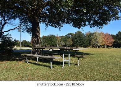 Picnic Area Park Stock Photo 2231874559 | Shutterstock