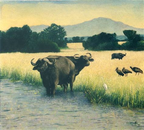 Water Buffalo in Queen Elizabeth National Park Painting by Penelope ...