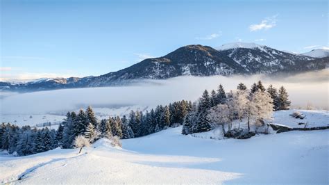 Schnee Chaos in weiten Teilen Österreichs oe24 at