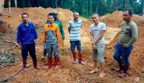 Five Chinese Illegal Miners Arrested At Bepotenten Photos