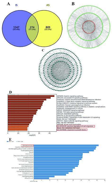 Network Pharmacology Analysis Of As A Venn Diagram Of As−related Download Scientific Diagram