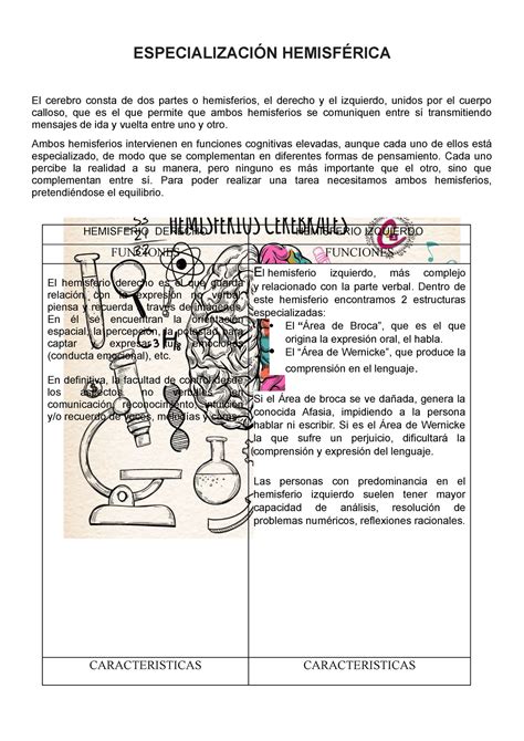 Cuadro Comparativo Hemisferios Derecho E Izquierdo EspecializaciÓn