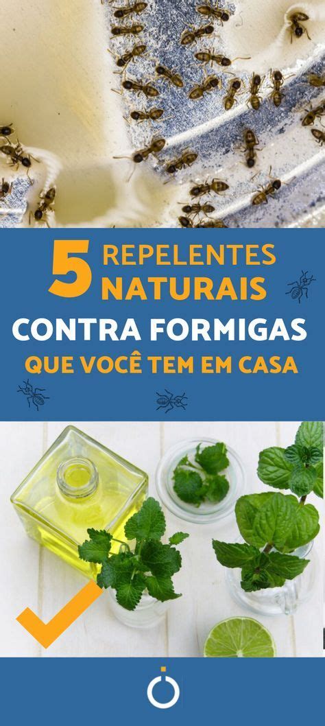 Repelentes Naturais Para Formigas Passos Veneno Caseiro Para