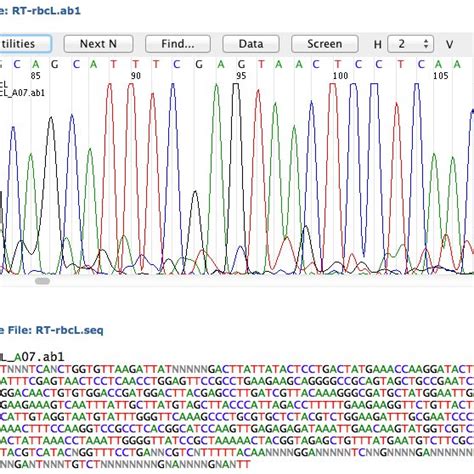 DNA from our 10 plant samples were successfully PCRamplified and ...