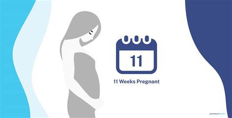 Weeks Pregnant Week Of Pregnancy Symptoms And Prenatal Care