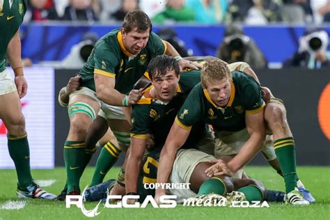 Springboks Rassie Re Purpose Springbok Management Team Za