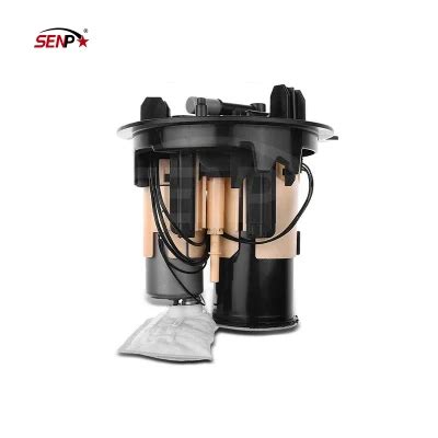 Senp Fuel System Fuel Pump Assembly For Mercedes Benz Maybach S