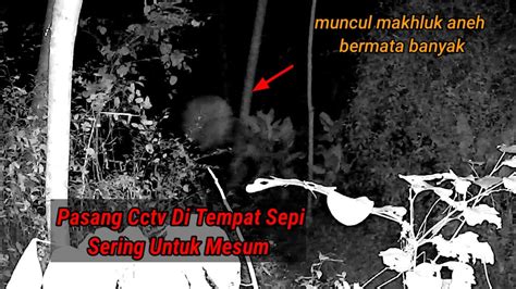 Eksperimen Cctv Di Jalan Angker Tempat Orang Mesum Muncul Makhluk