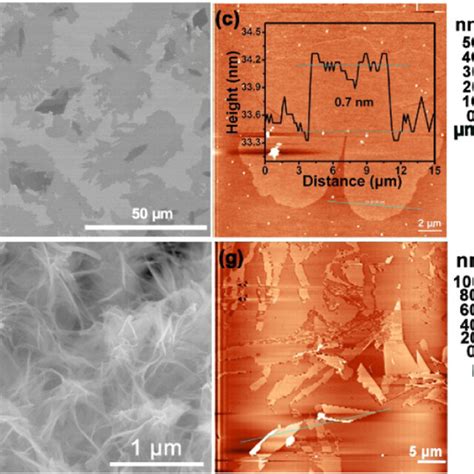 Morphology Characterization Of A D F CdS And E H W CdS A And