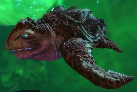 Sea Turtle Guild Wars Wiki Gw W