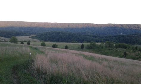 trail  white   trail   diversity  trek