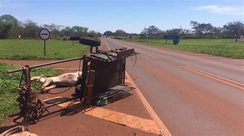 Acidente entre carro e carroça deixa idoso gravemente ferido e mata