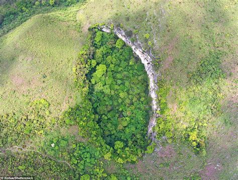 The Ancient Forest World Discovered More Than 600ft Below The Surface