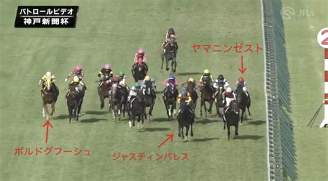 神戸新聞杯g2 ものさし競馬 Atwiki（アットウィキ）