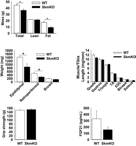 Figures And Data In Impaired Skeletal Muscle Mitochondrial Pyruvate