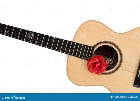 Canci N De Amor Guitarra Ac Stica Con La Rosa Roja Imagen Rom Ntica Del