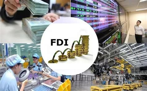 Vốn FDI là gì Đặc điểm ảnh hưởng của nguồn vốn FDI đến đầu tư Tikop vn