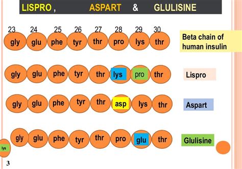 Insulin analogues ppt