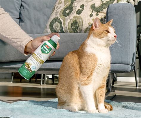 Flea Treatment for Cats | Hartz