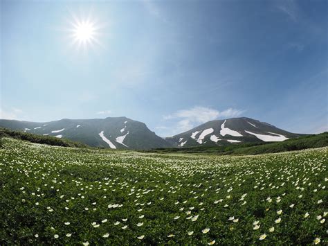 【夏山登山】大雪山縦走～お花畑と広大な大地～ 静かな山の頂へ